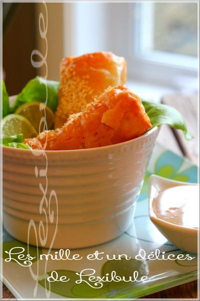 ~Rouleaux au poulet en pâte phyllo~