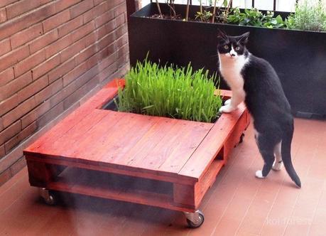 pallet-garden-table-cat-bed