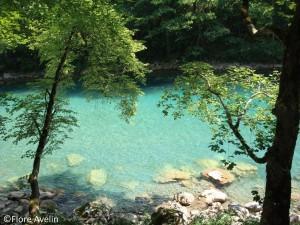 J'avais pensé envoyer des fleurs