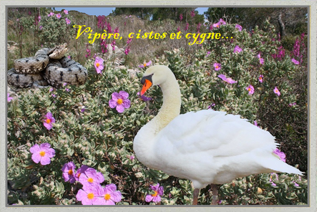 LA VIE COMME ELLE VIENT