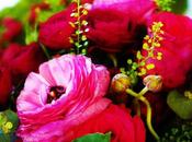 divine framboise Docteur Renaud