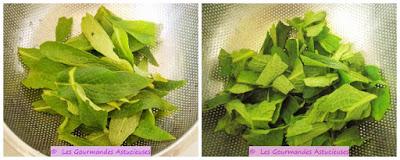 Sauce aux lentilles et à la consoude pour spaghettis (Vegan)