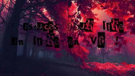 Conseil :  5 astuces pour lire un livre en VO ! =) (article n°32)