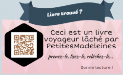 Comment j'ai écrit un roman sans m'en rendre compte, Annet Huizing