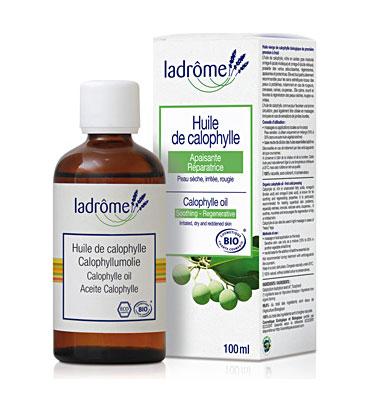 ld_huile_veg_calophylle (1)