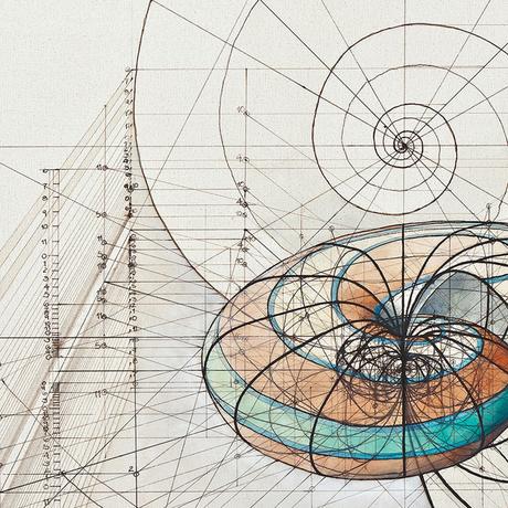 Inspirationsgraphiques-Livre-nombre-or-architecte-Rafael-Araujo-illustrateur-nature-dessins-graphiste-3D-inspiration-art-mathematiques-book-Kickstarter-04