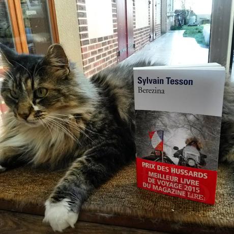 Berezina de Sylvain Tesson : la retraite de Russie en side-car