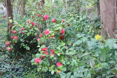 veneux 15 avril 2016 018.jpg