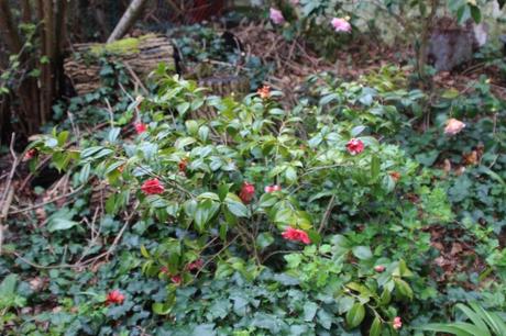 veneux 15 avril 2016 028.jpg