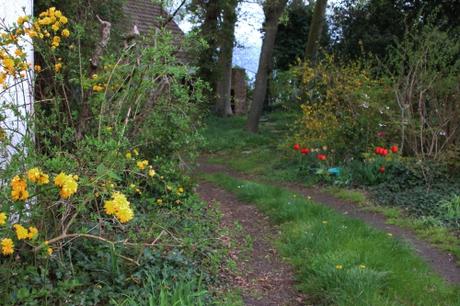 f veneux 15 avril 2016 002.jpg