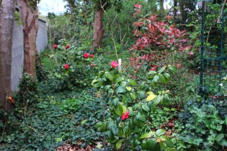 veneux 15 avril 2016 013.jpg