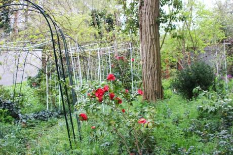 veneux 15 avril 2016 020.jpg