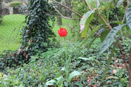 veneux 15 avril 2016 040.jpg