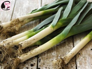 Freshly picked leeks with roots on wooden table