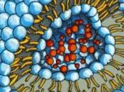NANOGALÉNIQUE: nanobulles savon pour dégager vaisseaux sclérosés Nanomedicine