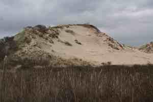 abris dune