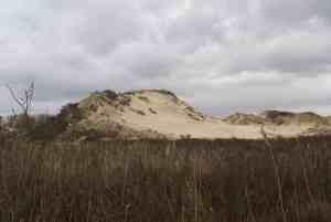 abris dune