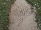 France sans Periscope