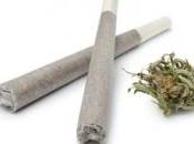 CANNABIS: Moins dopamine, moins performance cognitive Molecular Psychiatry