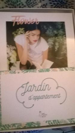 My little flower box