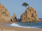 L'avantage pas) d'avoir copines partout dans monde