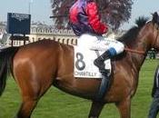 Chantilly avril 2016)