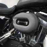 Harley Davidson Roadster: Le retour du Sportster