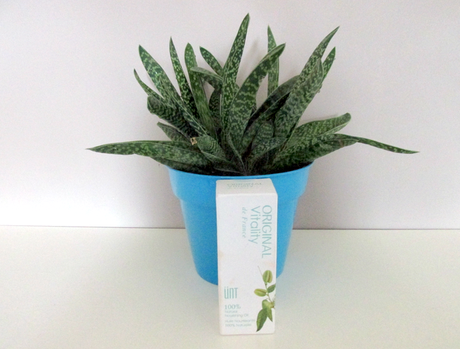 blog beaute nantais unt vitality huile de beaute naturelle