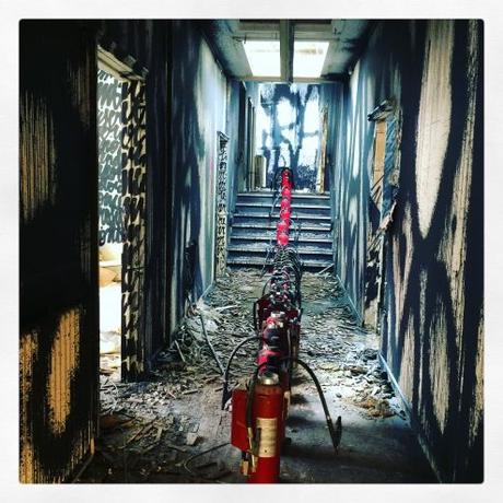 REMEMBER SOUVENIRS : Denis Meyers se met à nu