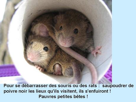 Divers - Bon à savoir - 1