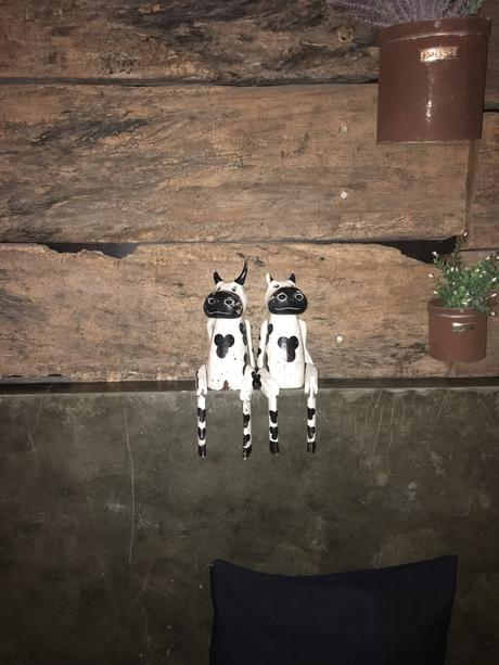 Indonésie première partie : c’est l’occasion de découvrir de belles photos !