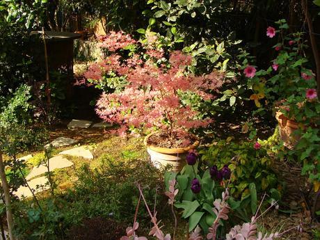 Jardi Match : le mois des pots, le choc des photos !