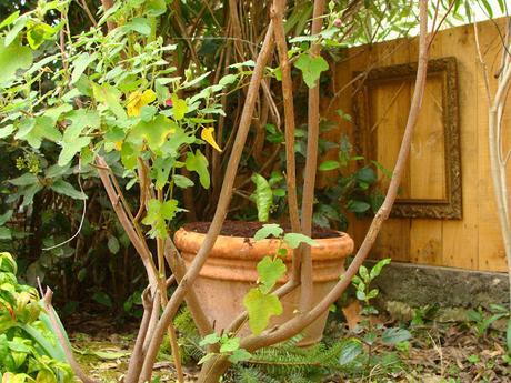 Jardi Match : le mois des pots, le choc des photos !