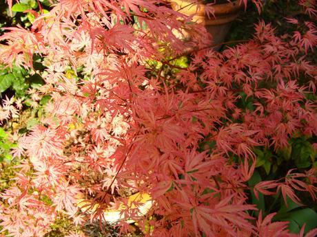 Jardi Match : le mois des pots, le choc des photos !