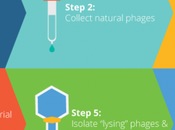 séquençage lutte contre bactéries résistantes