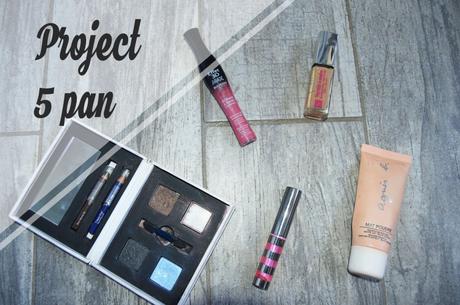 project 5 pan 1