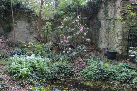 1 contessa veneux 25 avril 2016 001.jpg