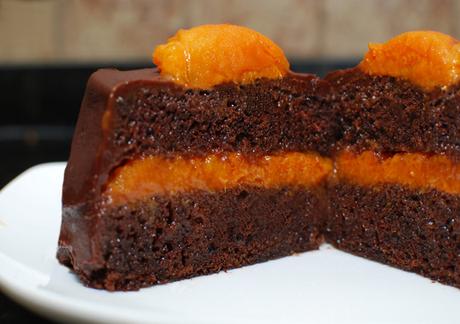 Recette Gâteau au chocolat et aux abricots avec thermomix