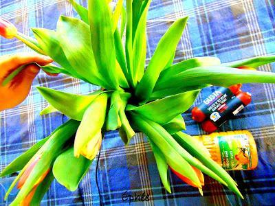 Saucisses et trempette de  patates douces pour l'apéro