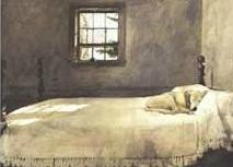 chien Wyeth