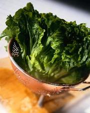 L’ABC d’une meilleure digestion