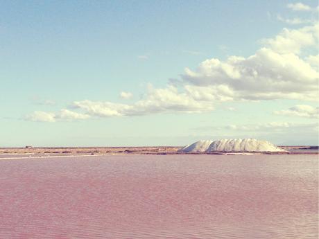 Les salins de Gruissan- loversofmint
