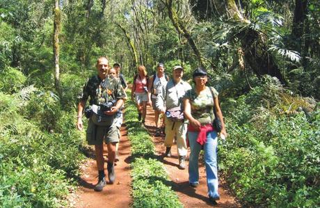 Iguaçu Trilha Do Poço Preto Rappelez-vous la façon dont l...
