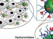 CANCER: nanoparticules équipées pour désarmer tumeur NanoLetters
