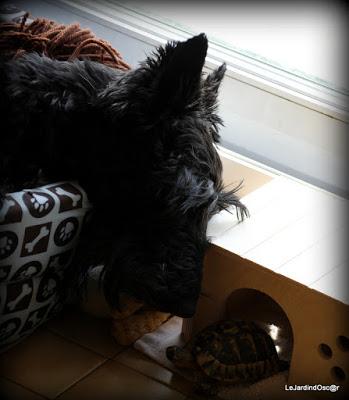 Quand un rêve d'enfant devient réalité...