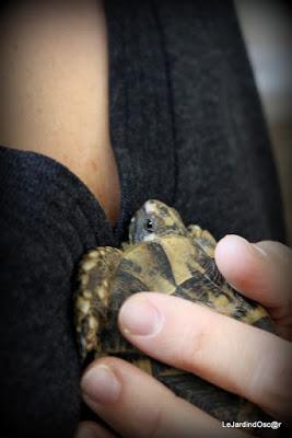 Quand un rêve d'enfant devient réalité...