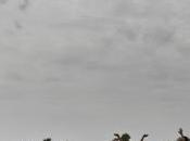 Soudan Sud, pays sang larmes reportage ARTE