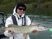 Ouverture brochet 2016