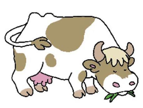 Image que j'ai utilisé pour la banderole. 