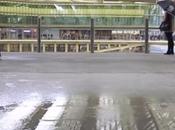 Halles Stupidalgo éblouit Parisiens